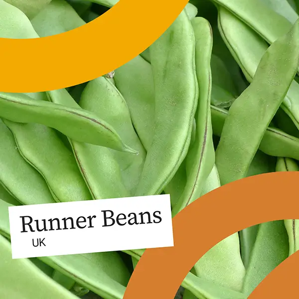UnitedFresh-Runnerbeans