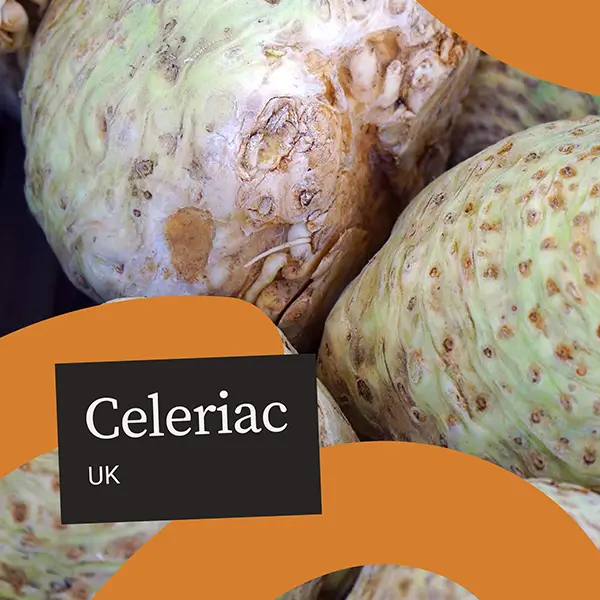 UnitedFresh-Celeriac