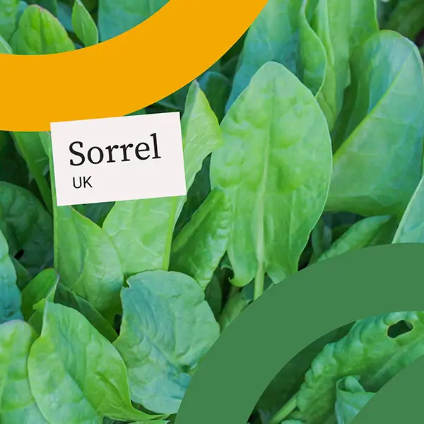 UnitedFresh-Sorrel