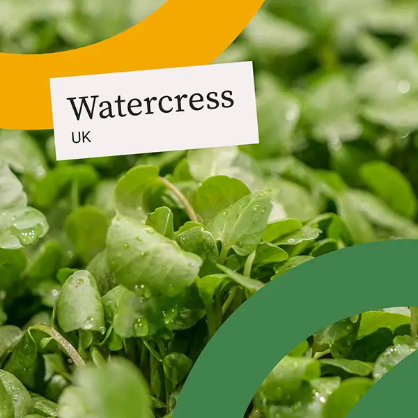 UnitedFresh-Watercress