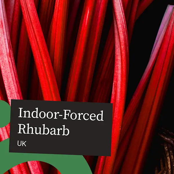 UnitedFresh-rhubarb