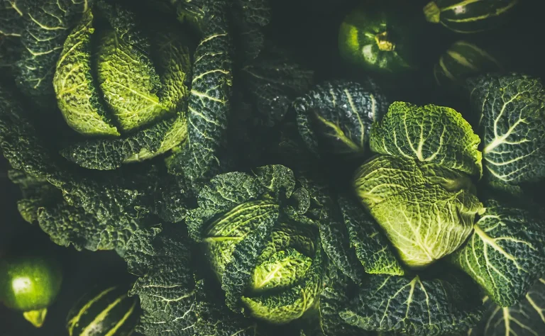 Image of cabbages
